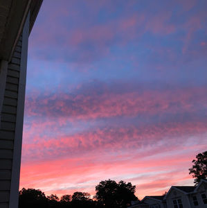 Meet your Posher, Joelle